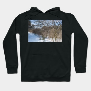 Snow Dreams Hoodie